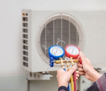 Shutterstock_2493267051-min